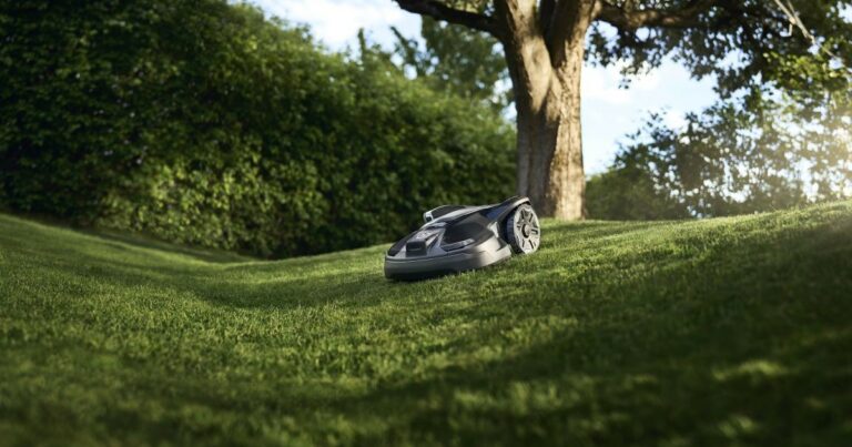Rewilding Mode disponibile nei nuovi Automower® NERA di Husqvarna